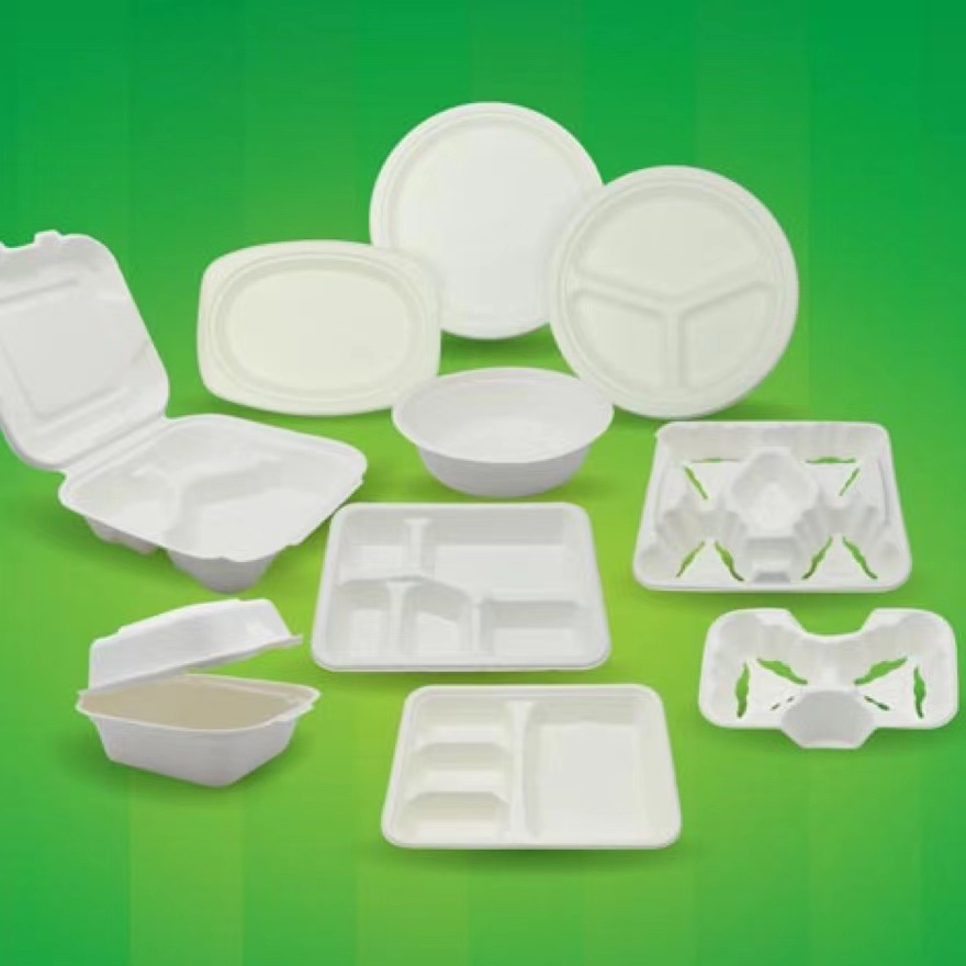 Molded Pulp products